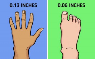 Tại sao móng tay mọc nhanh hơn móng chân?