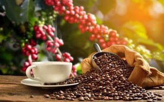 Giá cà phê hôm nay 17/11: Cà phê trong nước và thế giới đều bật tăng mạnh