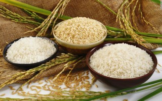 Giá lúa gạo hôm nay ngày 9/12: Giá lúa gạo chững lại, thị trường tiêu thụ ổn định